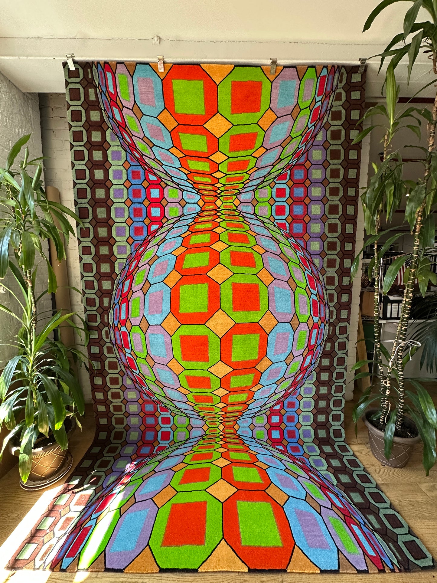 6' x 10'6'' Hand Knotted Rug