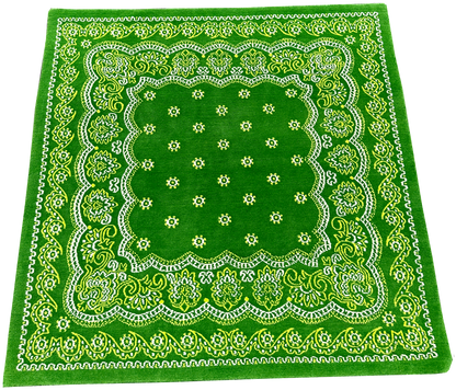 4'x4' Paisley Bandana Rug - Lime